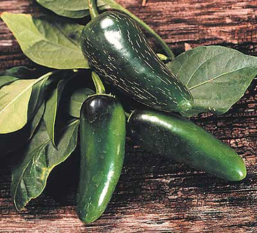 Mucho Nacho F1 Pepper Seeds - The Pepper Pantry (Formerly Marie Sharp's)